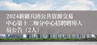 2024新疆兵团公共资源交易中心第十二师分中心招聘聘用人员公告（2人）