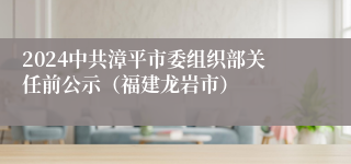 2024中共漳平市委组织部关任前公示（福建龙岩市）