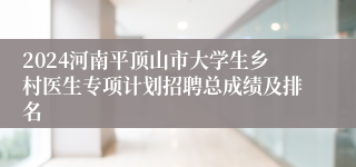 2024河南平顶山市大学生乡村医生专项计划招聘总成绩及排名