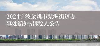 2024宁波余姚市梨洲街道办事处编外招聘2人公告