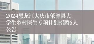 2024黑龙江大庆市肇源县大学生乡村医生专项计划招聘6人公告