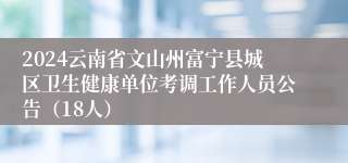 2024云南省文山州富宁县城区卫生健康单位考调工作人员公告（18人）