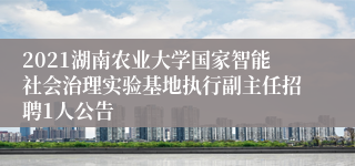 2021湖南农业大学国家智能社会治理实验基地执行副主任招聘1人公告