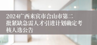 2024广西来宾市合山市第二批紧缺急需人才引进计划确定考核人选公告