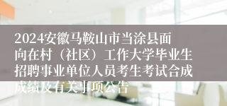 2024安徽马鞍山市当涂县面向在村（社区）工作大学毕业生招聘事业单位人员考生考试合成成绩及有关事项公告