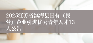 2025江苏省滨海县国有（民营）企业引进优秀青年人才13人公告