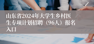 山东省2024年大学生乡村医生专项计划招聘（96人）报名入口