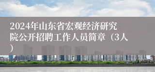 2024年山东省宏观经济研究院公开招聘工作人员简章（3人）