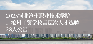 2025河北沧州职业技术学院、沧州工贸学校高层次人才选聘28人公告