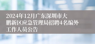 2024年12月广东深圳市大鹏新区应急管理局招聘4名编外工作人员公告