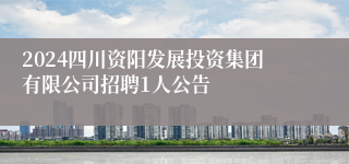 2024四川资阳发展投资集团有限公司招聘1人公告