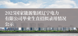 2025国家能源集团辽宁电力有限公司毕业生直招拟录用情况公示