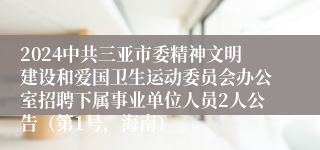 2024中共三亚市委精神文明建设和爱国卫生运动委员会办公室招聘下属事业单位人员2人公告（第1号，海南）