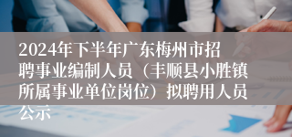 2024年下半年广东梅州市招聘事业编制人员（丰顺县小胜镇所属事业单位岗位）拟聘用人员公示