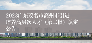 2023广东茂名市高州市引进培养高层次人才（第二批）认定公告