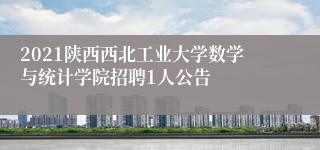 2021陕西西北工业大学数学与统计学院招聘1人公告