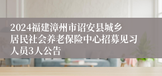 2024福建漳州市诏安县城乡居民社会养老保险中心招募见习人员3人公告