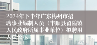 2024年下半年广东梅州市招聘事业编制人员（丰顺县留隍镇人民政府所属事业单位）拟聘用人员公示