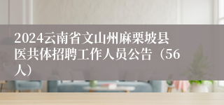 2024云南省文山州麻栗坡县医共体招聘工作人员公告（56人）