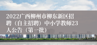 2022广西柳州市柳东新区招聘（自主招聘）中小学教师23人公告（第一批）