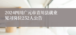 2024四川广元市青川县就业见习岗位252人公告