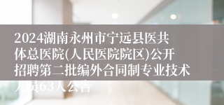 2024湖南永州市宁远县医共体总医院(人民医院院区)公开招聘第二批编外合同制专业技术人员63人公告