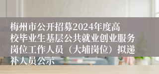 梅州市公开招募2024年度高校毕业生基层公共就业创业服务岗位工作人员（大埔岗位）拟递补人员公示