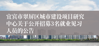 宜宾市翠屏区城市建设项目研究中心关于公开招募3名就业见习人员的公告