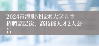 2024青海职业技术大学自主招聘高层次、高技能人才2人公告