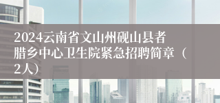 2024云南省文山州砚山县者腊乡中心卫生院紧急招聘简章（2人）