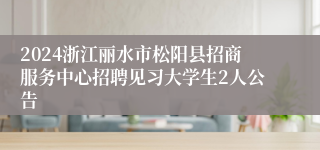 2024浙江丽水市松阳县招商服务中心招聘见习大学生2人公告