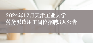 2024年12月天津工业大学劳务派遣用工岗位招聘3人公告 