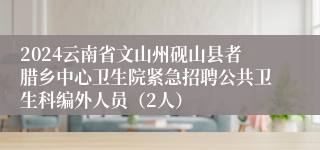 2024云南省文山州砚山县者腊乡中心卫生院紧急招聘公共卫生科编外人员（2人）