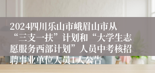 2024四川乐山市峨眉山市从“三支一扶”计划和“大学生志愿服务西部计划”人员中考核招聘事业单位人员1人公告