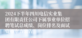 2024下半年四川电信实业集团有限责任公司下属事业单位招聘笔试总成绩、岗位排名及面试资格审查公告