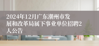 2024年12月广东潮州市发展和改革局属下事业单位招聘2人公告