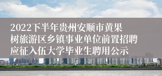 2022下半年贵州安顺市黄果树旅游区乡镇事业单位前置招聘应征入伍大学毕业生聘用公示