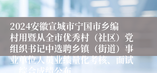 2024安徽宣城市宁国市乡编村用暨从全市优秀村（社区）党组织书记中选聘乡镇（街道）事业单位人员业绩量化考核、面试、综合成绩公布