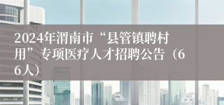 2024年渭南市“县管镇聘村用”专项医疗人才招聘公告（66人）