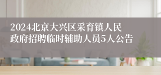 2024北京大兴区采育镇人民政府招聘临时辅助人员5人公告