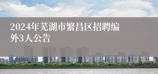 2024年芜湖市繁昌区招聘编外3人公告