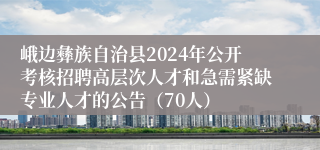 峨边彝族自治县2024年公开考核招聘高层次人才和急需紧缺专业人才的公告（70人）