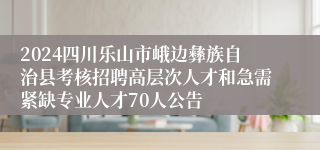 2024四川乐山市峨边彝族自治县考核招聘高层次人才和急需紧缺专业人才70人公告