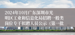 2024年10月广东深圳市光明区工业和信息化局招聘一般类岗位专干拟聘人员公示（第一批）