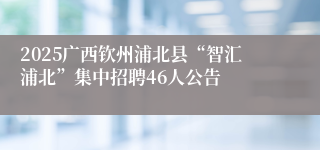 2025广西钦州浦北县“智汇浦北”集中招聘46人公告