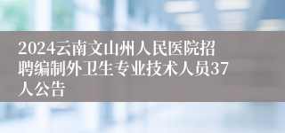 2024云南文山州人民医院招聘编制外卫生专业技术人员37人公告