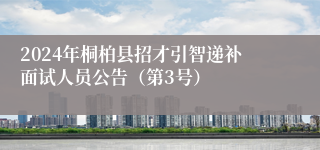 2024年桐柏县招才引智递补面试人员公告（第3号）