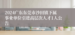 2024广东东莞市沙田镇下属事业单位引进高层次人才1人公告