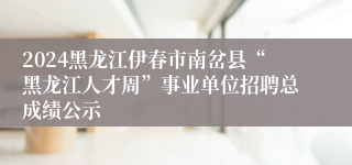 2024黑龙江伊春市南岔县“黑龙江人才周”事业单位招聘总成绩公示