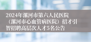 2024年漯河市第六人民医院（漯河市心血管病医院）招才引智招聘高层次人才5名公告